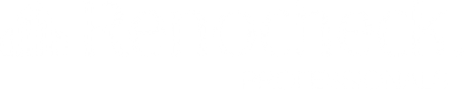 Renocheck Professionals
